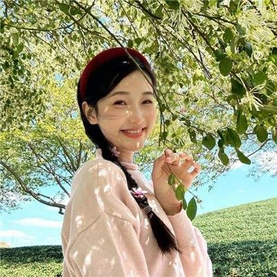 明星志愿2